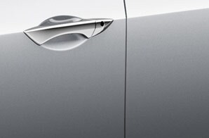 Door Edge Film